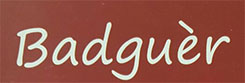Badguer logo