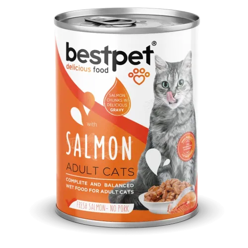 BESTPET - CAT ADULT - SALMON CHUNKS IN GRAVY 400 G