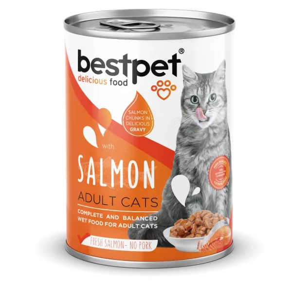 BESTPET - CAT ADULT - SALMON CHUNKS IN GRAVY 400 G