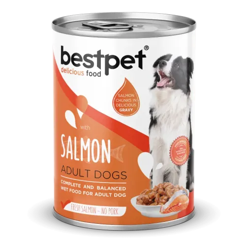 BESTPET - DOG ADULT - SALMON CHUNKS IN GRAVY 400 G