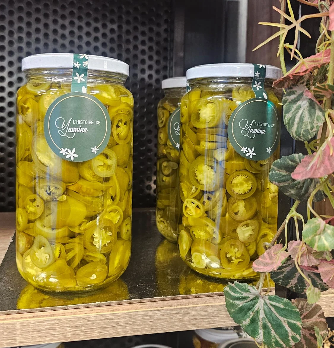 Yasmina Jalapeños