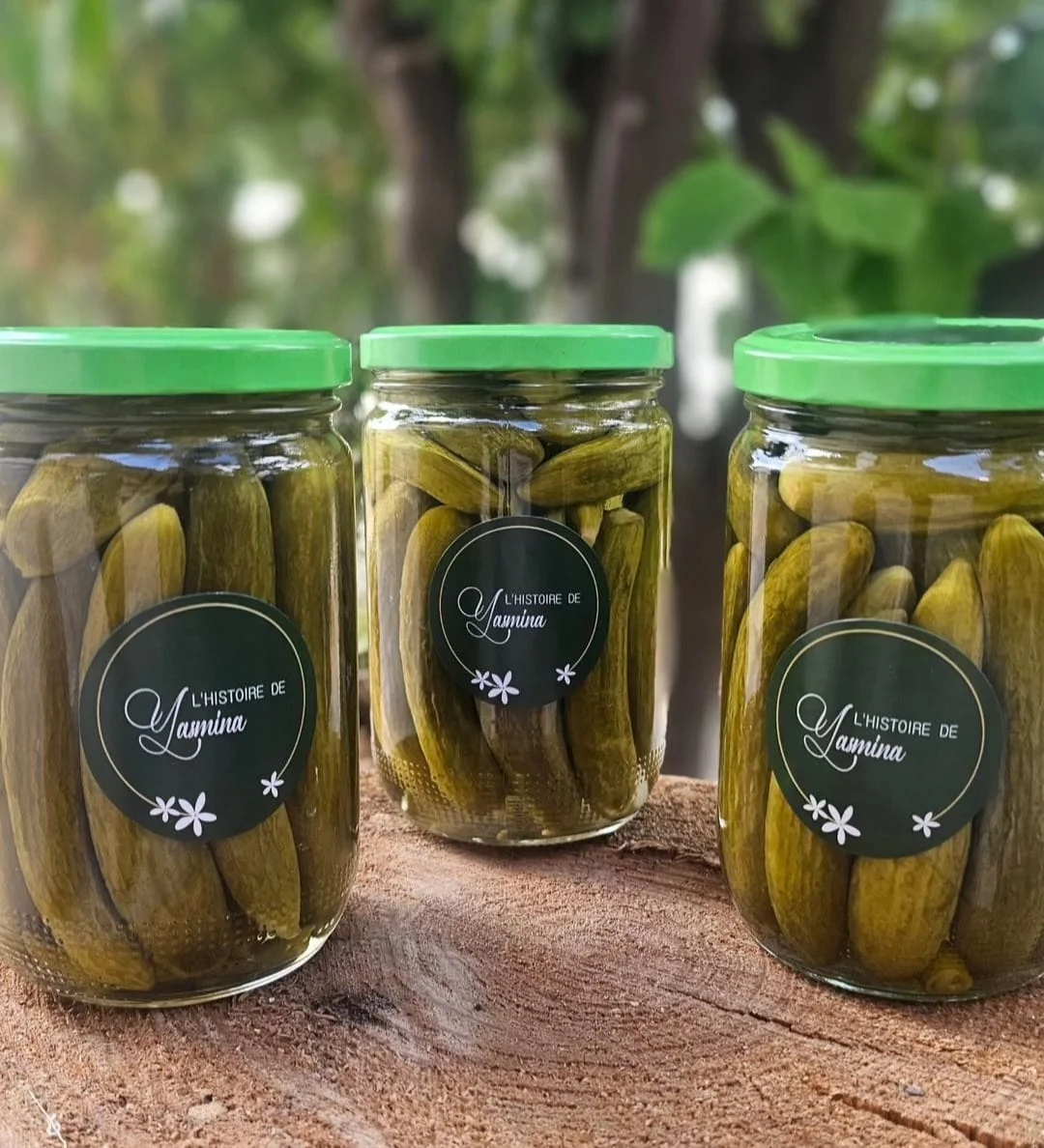 Yasmina Pickled Cucumber