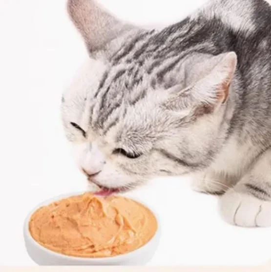 POTOPET CAT LIQUID SNACK - CHICKEN (15 G)