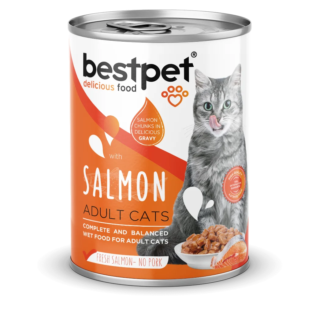 BESTPET - CAT ADULT - SALMON CHUNKS IN GRAVY 400 G