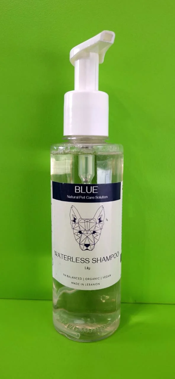 BLUE - FOAM SHAMPOO - LILY SCENT 200 ML